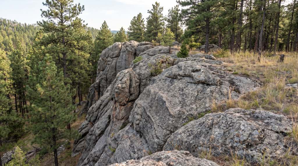 Exposed granite and pegmatite outcrop in the Black Hills — the source rock behind local radon